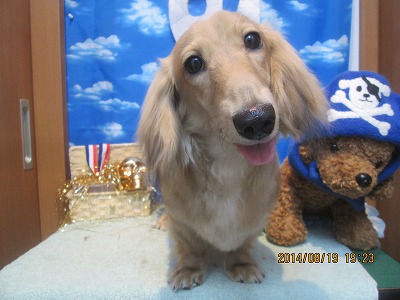 ファイル 8121-2.jpg