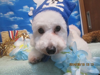 ファイル 8122-2.jpg