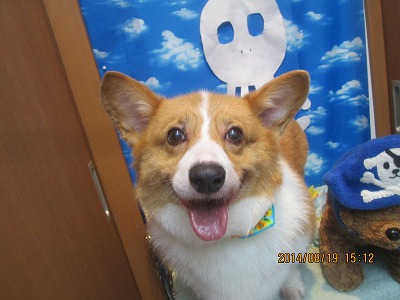 ファイル 8123-2.jpg