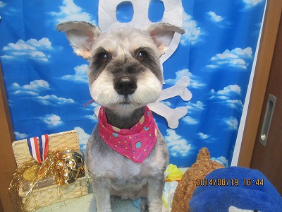 ファイル 8124-2.jpg