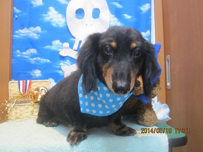 ファイル 8125-2.jpg