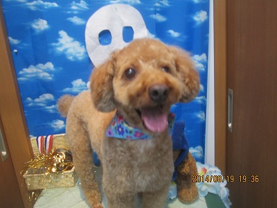 ファイル 8126-2.jpg