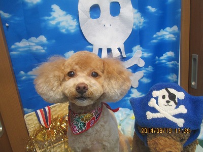 ファイル 8127-2.jpg