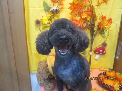 ファイル 8129-2.jpg