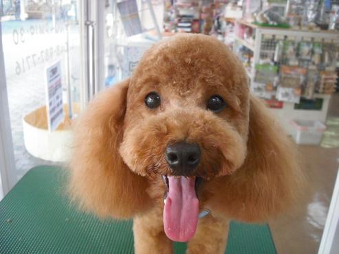 ファイル 813-1.jpg