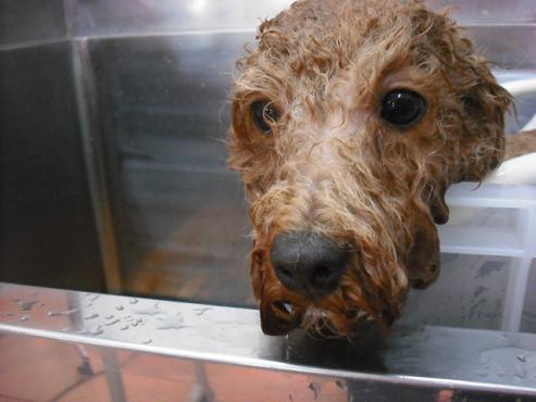 ファイル 813-2.jpg