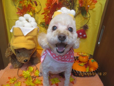 ファイル 8130-2.jpg