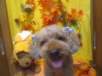 ファイル 8132-2.jpg