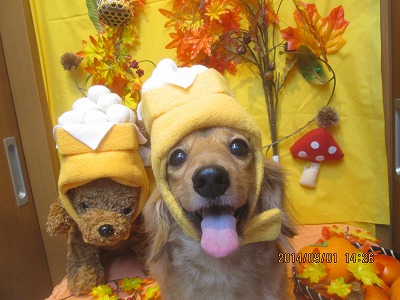 ファイル 8133-1.jpg