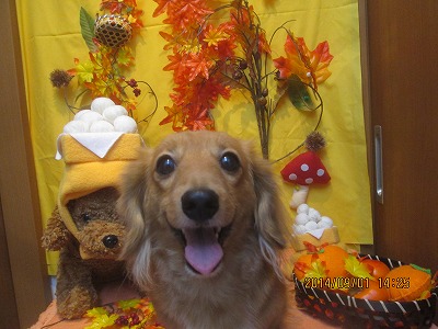 ファイル 8133-2.jpg