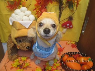 ファイル 8134-1.jpg