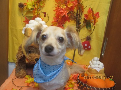 ファイル 8134-2.jpg