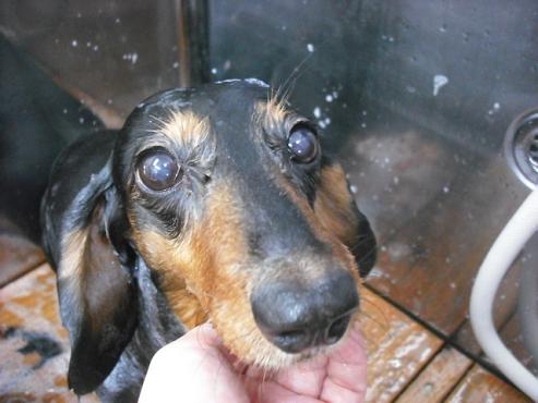 ファイル 814-2.jpg