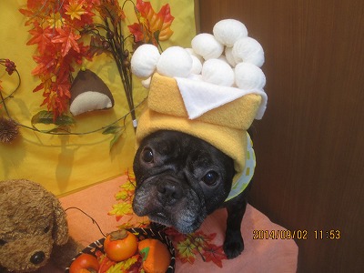 ファイル 8140-1.jpg