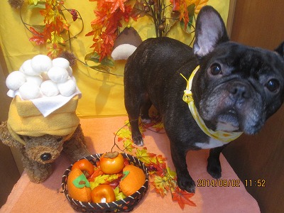 ファイル 8140-2.jpg