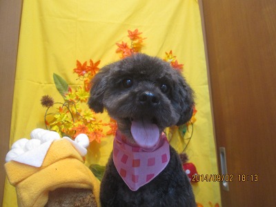 ファイル 8142-2.jpg