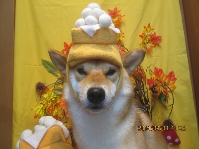 ファイル 8148-1.jpg