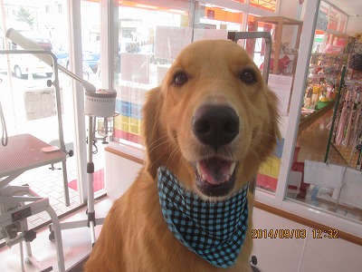 ファイル 8152-2.jpg