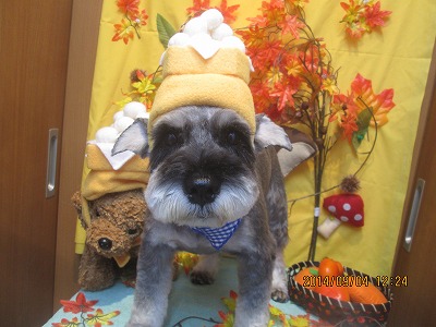 ファイル 8157-2.jpg