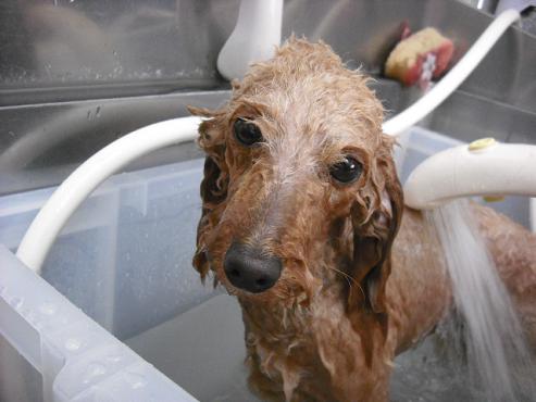 ファイル 816-3.jpg