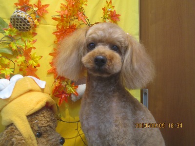 ファイル 8164-1.jpg