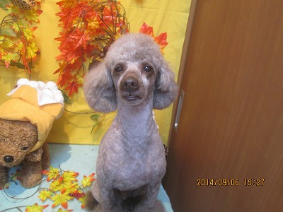 ファイル 8166-1.jpg