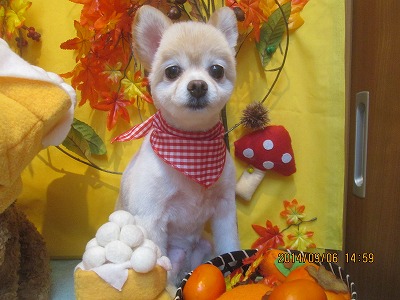 ファイル 8168-2.jpg