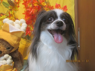 ファイル 8169-2.jpg