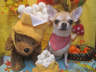 ファイル 8170-1.jpg