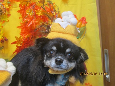 ファイル 8171-1.jpg