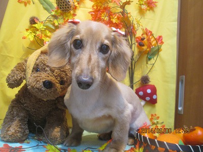 ファイル 8173-2.jpg