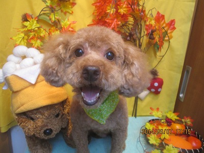 ファイル 8175-1.jpg