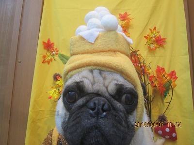 ファイル 8176-1.jpg