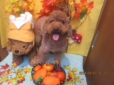 ファイル 8179-2.jpg