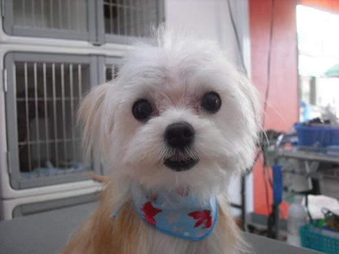 ファイル 818-1.jpg