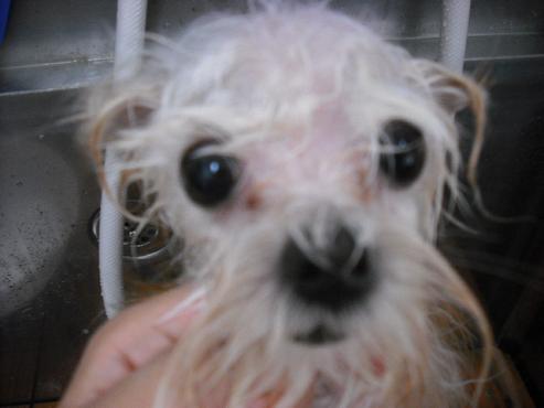 ファイル 818-3.jpg