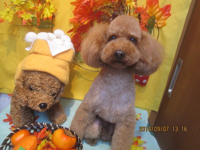 ファイル 8180-2.jpg