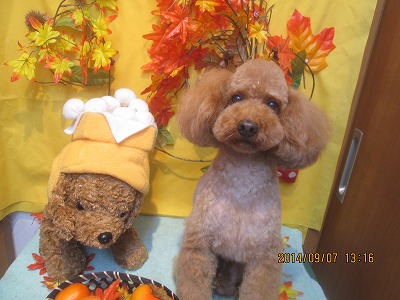 ファイル 8180-3.jpg