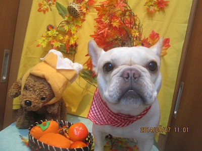 ファイル 8188-1.jpg