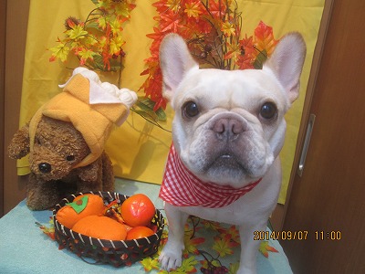 ファイル 8188-2.jpg