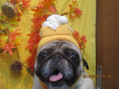 ファイル 8189-1.jpg