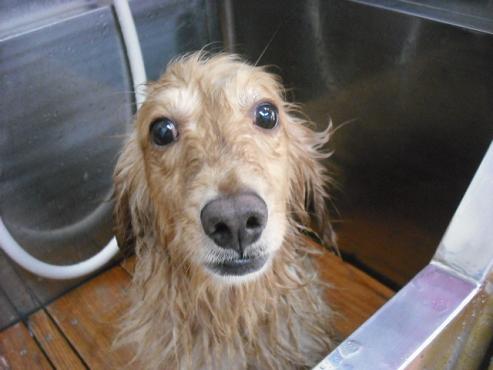 ファイル 819-3.jpg