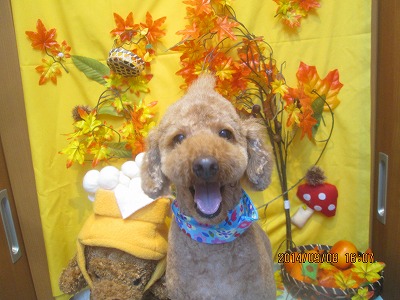 ファイル 8190-1.jpg