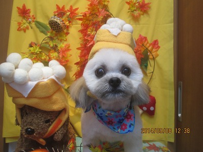 ファイル 8192-1.jpg