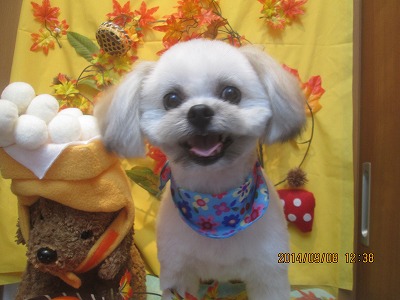 ファイル 8192-2.jpg