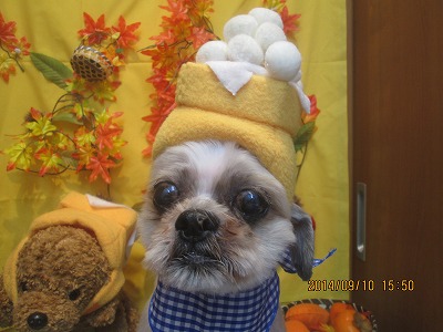 ファイル 8199-1.jpg