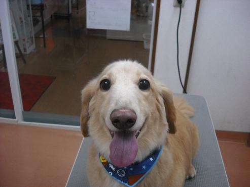 ファイル 82-1.jpg