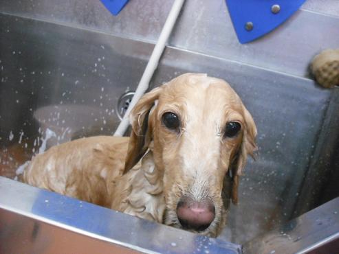 ファイル 82-2.jpg