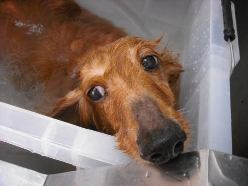 ファイル 820-2.jpg