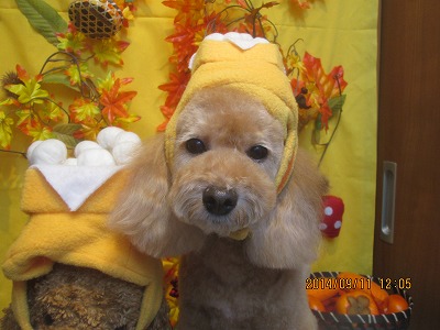 ファイル 8209-1.jpg